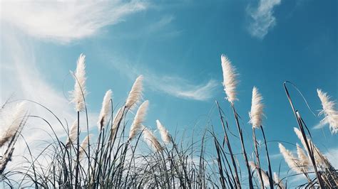 夢到房間淹水|夢到淹水？這可能是什麼含義？